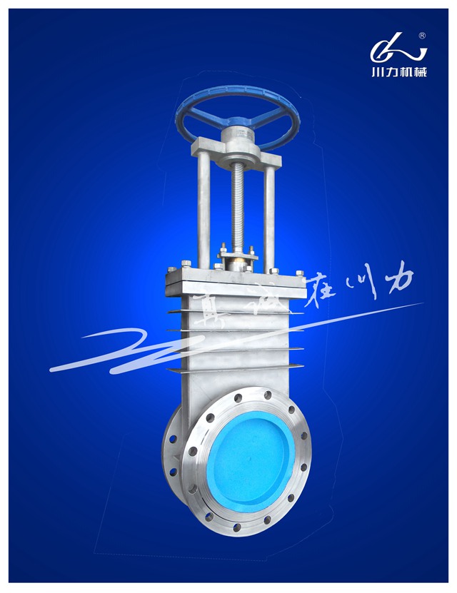 閘閥 DN250.jpg